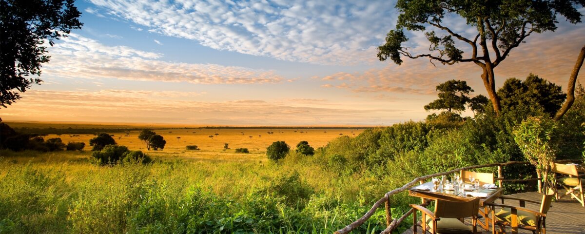 What Are the Best Kenya Safari Tours With Experienced Guides?