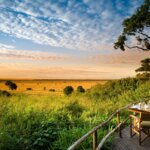 What Are the Best Kenya Safari Tours With Experienced Guides?
