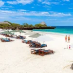 What Are the Best Safari Adventures Near Nairobi?