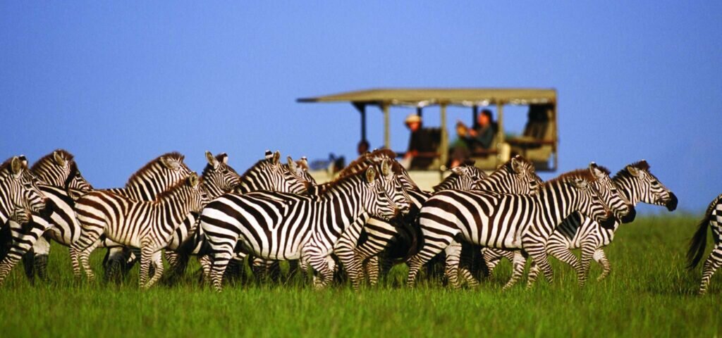 What Are the Best Safari Camps Near the Mara River?