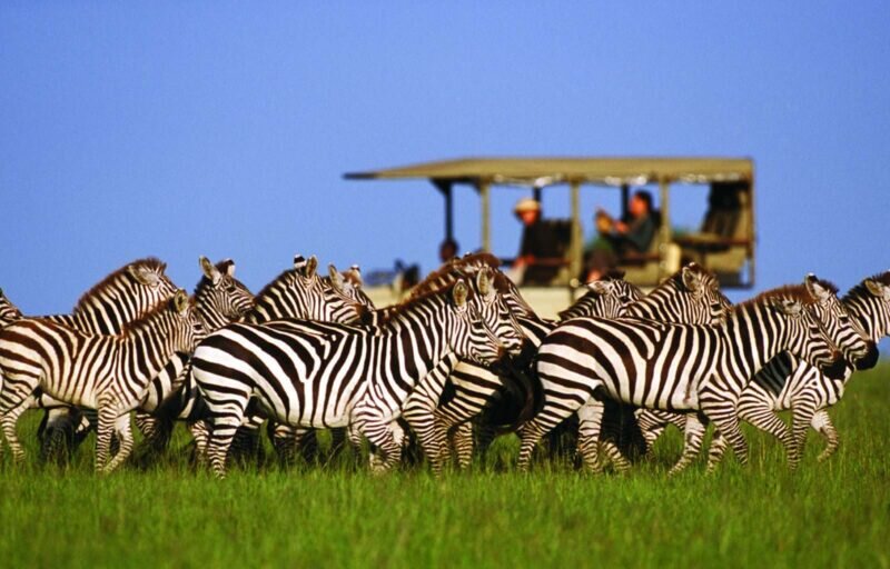 What Are the Best Safari Camps Near the Mara River?