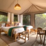 What Are the Best Safari Camps for Luxury Experiences in Kenya?