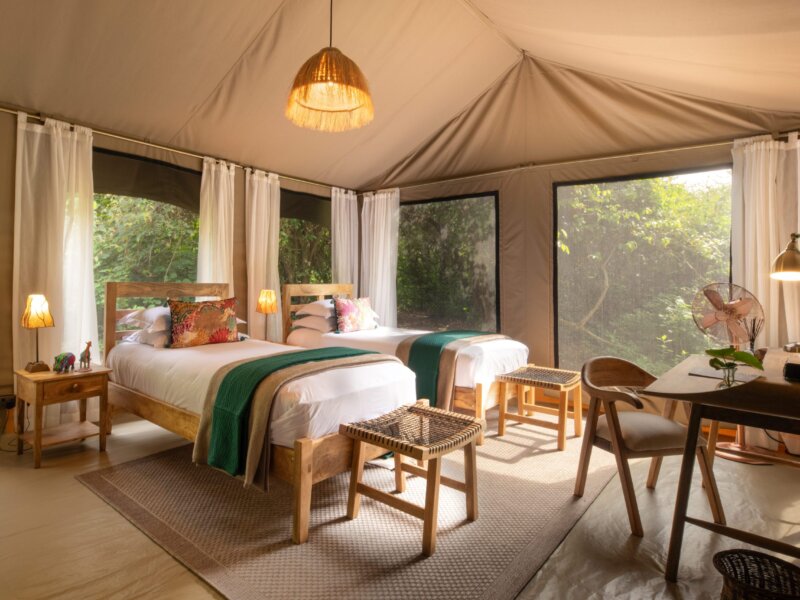 What Are the Best Safari Camps for Luxury Experiences in Kenya?