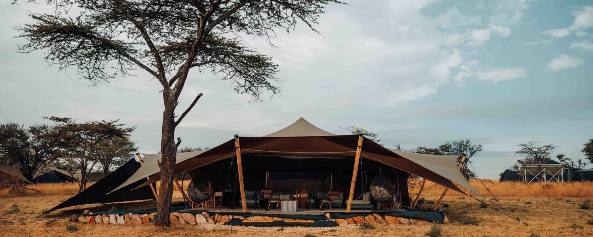 What Are the Best Safari Camps with Authentic Safari Experiences?