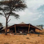 What Are the Best Safari Camps with Authentic Safari Experiences?
