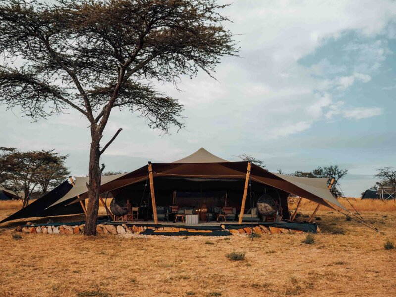 What Are the Best Safari Camps with Authentic Safari Experiences?