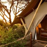 What Are the Best Safari Camps with Personalized Services in Kenya?