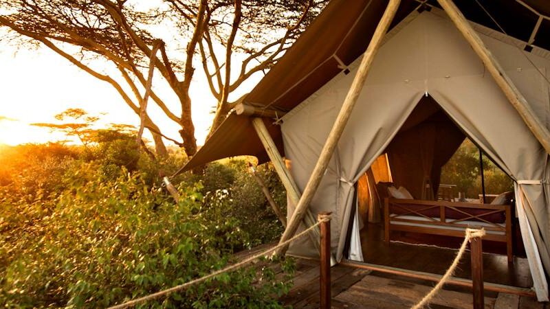 What Are the Best Safari Camps with Personalized Services in Kenya?