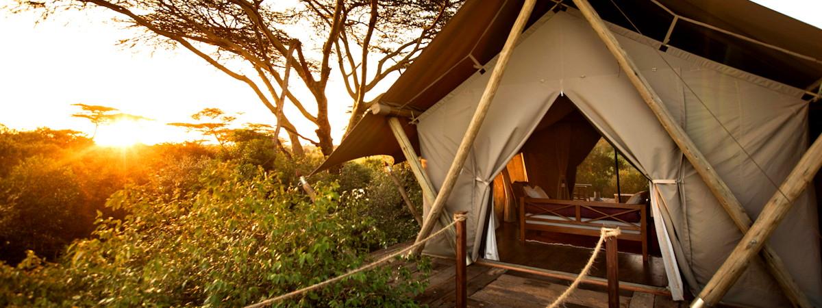 What Are the Best Safari Camps with Personalized Services in Kenya?