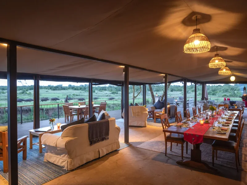 What Are the Best Safari Camps with Wildlife Nearby in Kenya?
