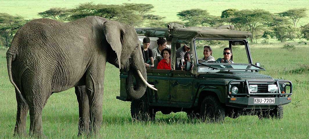 What Are the Best Safari Experiences for Families in Kenya?