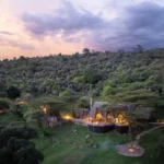 What Are the Best Safari Lodges for Wildlife Photography in Kenya?