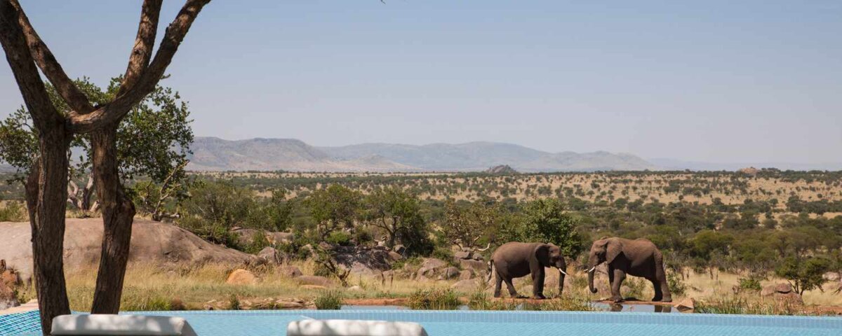 What Are the Best Safari Parks for Exclusive Experiences?