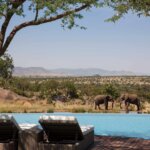 What Are the Best Safari Parks for Exclusive Experiences?