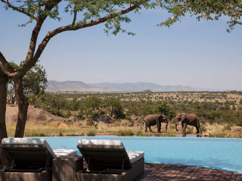 What Are the Best Safari Parks for Exclusive Experiences?