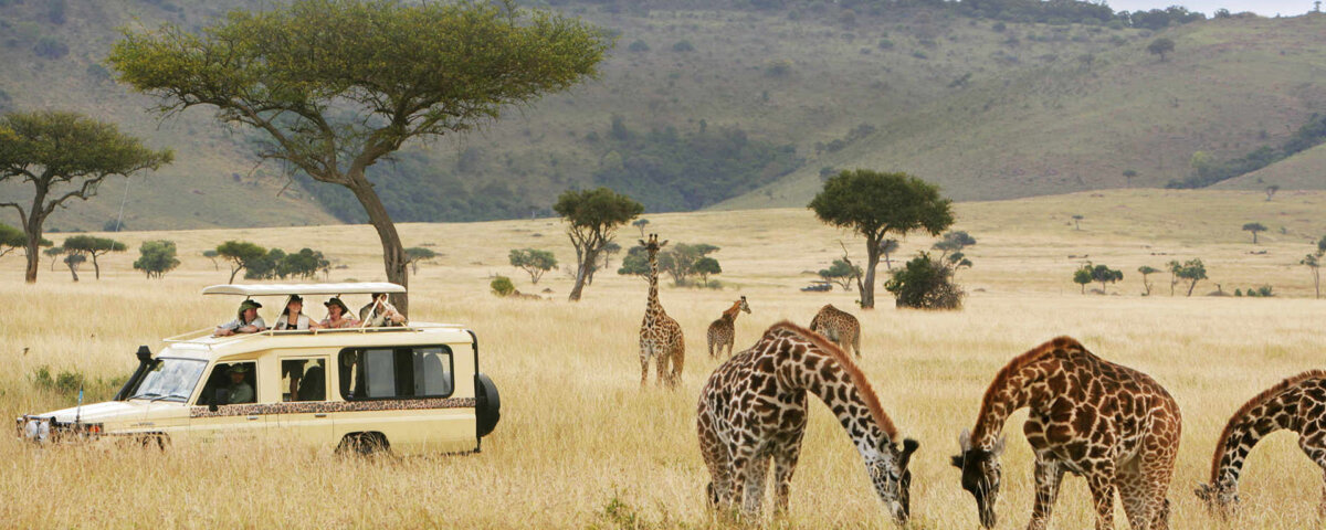 What Are the Best Safari Parks for Scenic Game Drives?