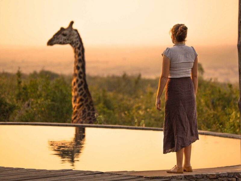 What Are the Best Safari Tours With Cultural Encounters in Kenya?