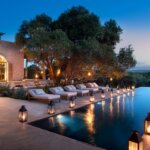 What Are the Best Safari Tours for Adventure Travelers?