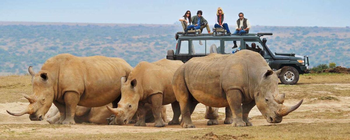 What Are the Best Safari Tours for Wildlife Documentaries?
