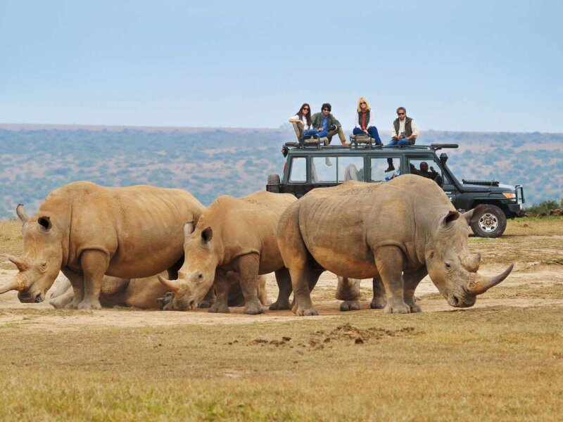 What Are the Best Safari Tours for Wildlife Documentaries?