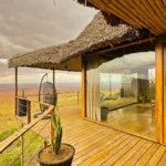 What Are the Cheapest Kenya Safari Tours?