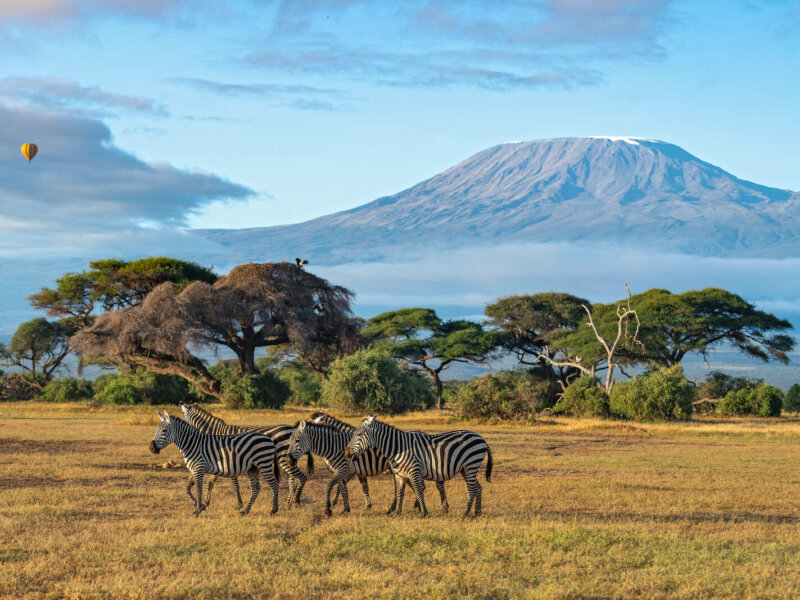 What Is Special About Masai Mara Safaris?