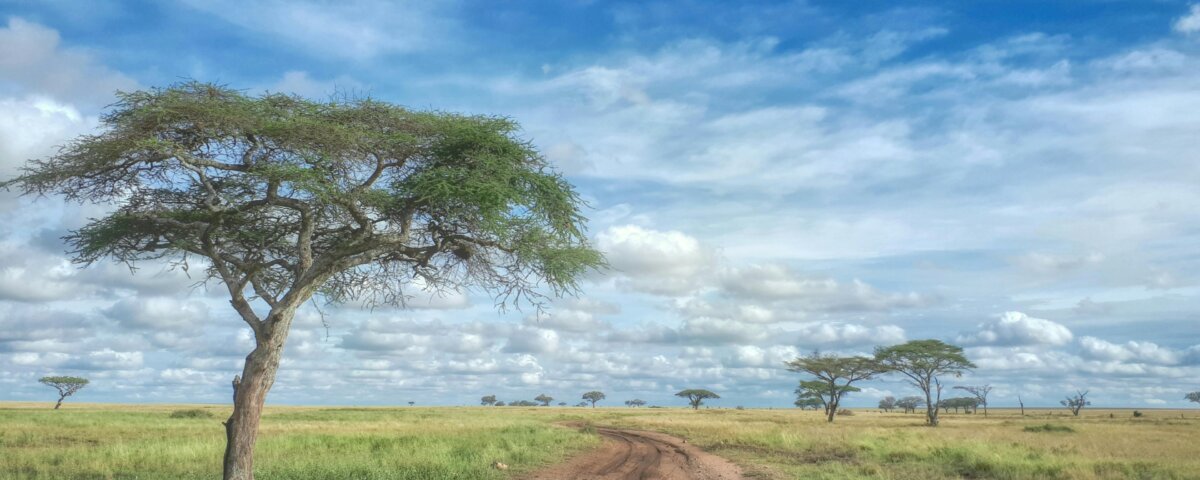 What Is the Best Kenya Safari Itinerary?