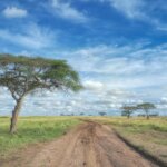 What Is the Best Kenya Safari Itinerary?