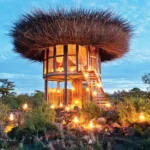 What Is the Best Safari in Kenya?