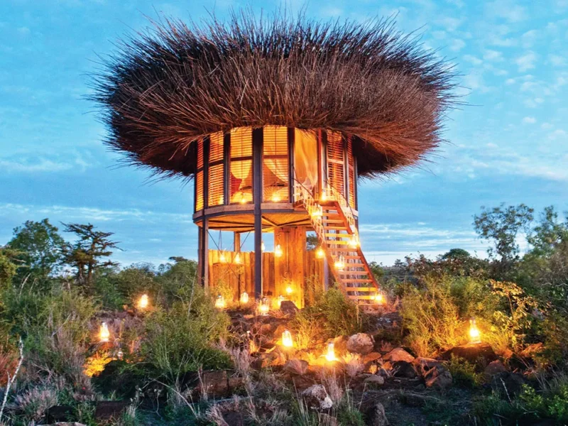 What Is the Best Safari in Kenya?