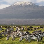 What Makes Amboseli Famous?