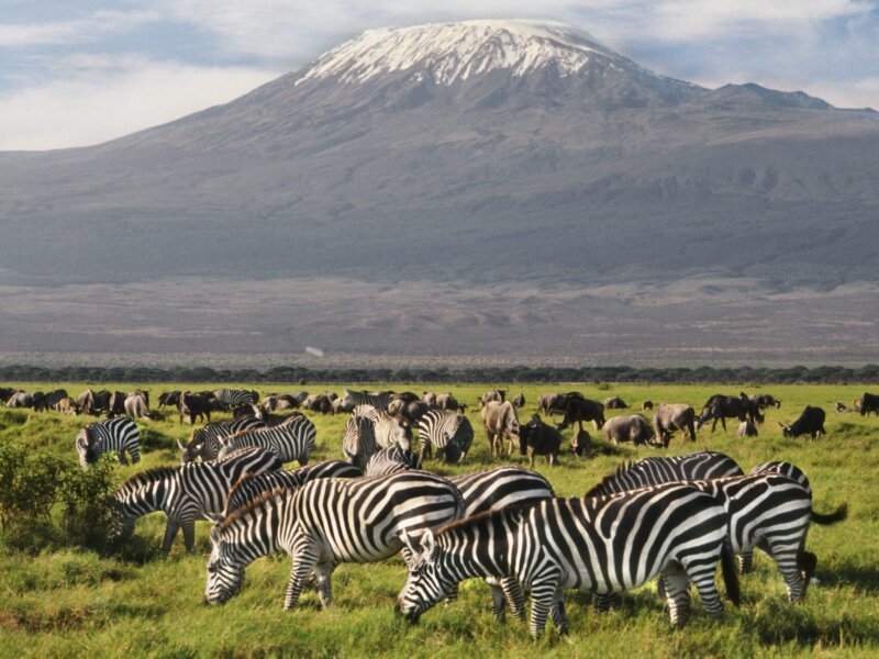 What Makes Amboseli Famous?