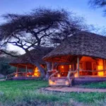 What are the best Kenya safari lodges for nature lovers