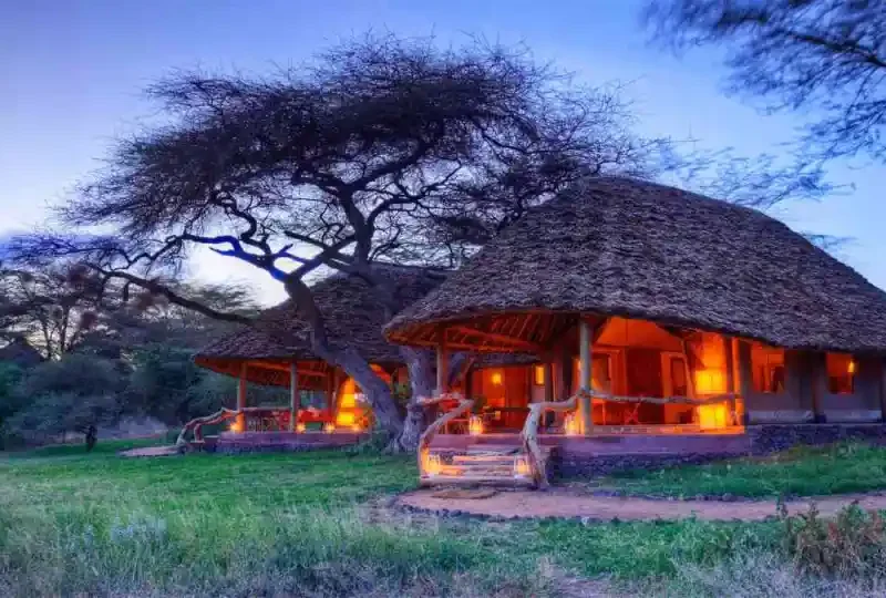 What are the best Kenya safari lodges for nature lovers