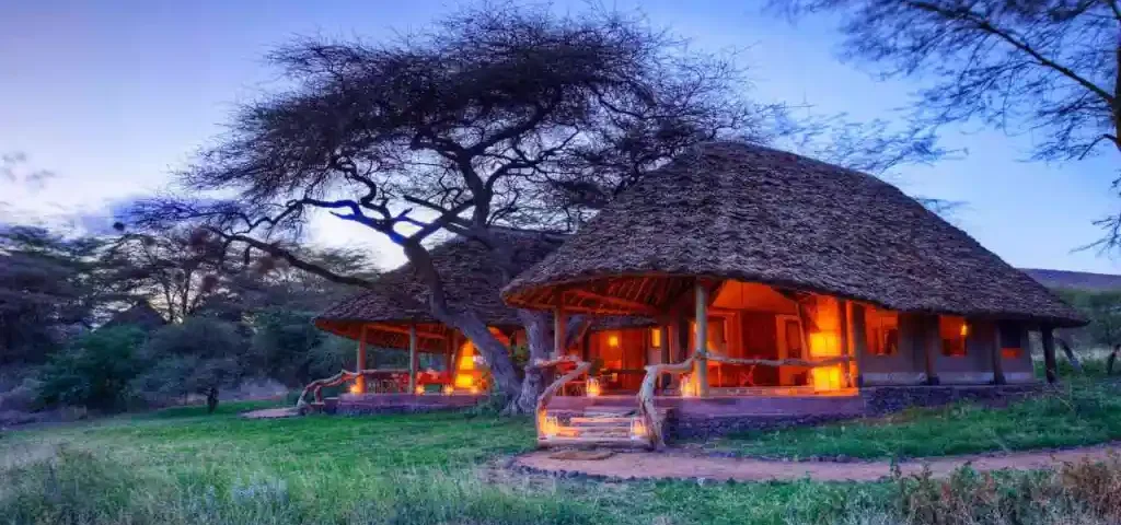 What are the best Kenya safari lodges for nature lovers?