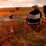 What are the best Kenya safari parks for honeymoon adventures?