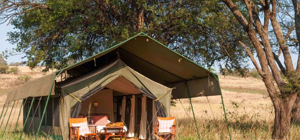 What are the best camping safaris?