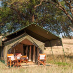 What are the best camping safaris?