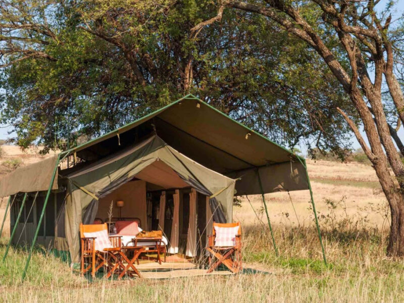 What are the best camping safaris?