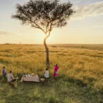 What are the best safari adventures in Masai Mara?
