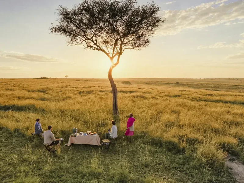 What are the best safari adventures in Masai Mara?