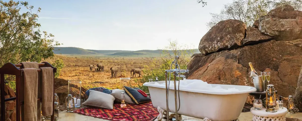 What is the best safari honeymoon?