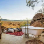 What is the best safari honeymoon?