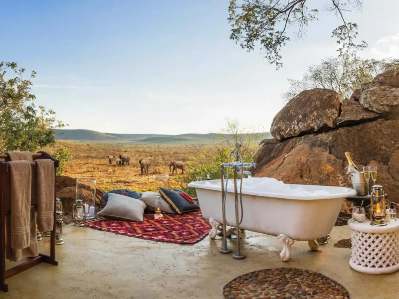 What is the best safari honeymoon?