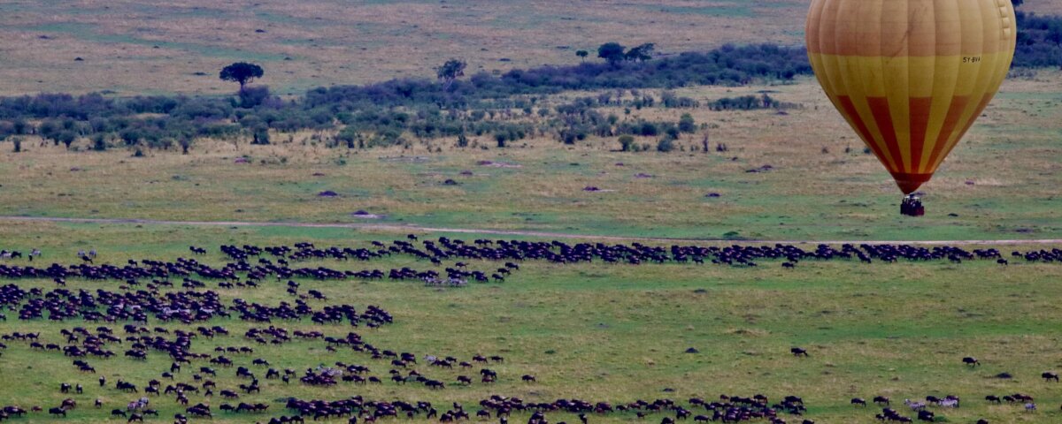 When Does the Great Migration Happen in Kenya?