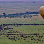 When Does the Great Migration Happen in Kenya?