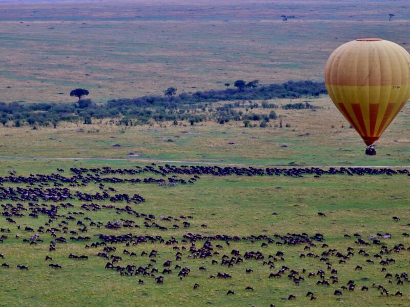 When Does the Great Migration Happen in Kenya?