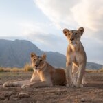 Where to Best Go for Kenya Wildlife Conservation Focused Safaris