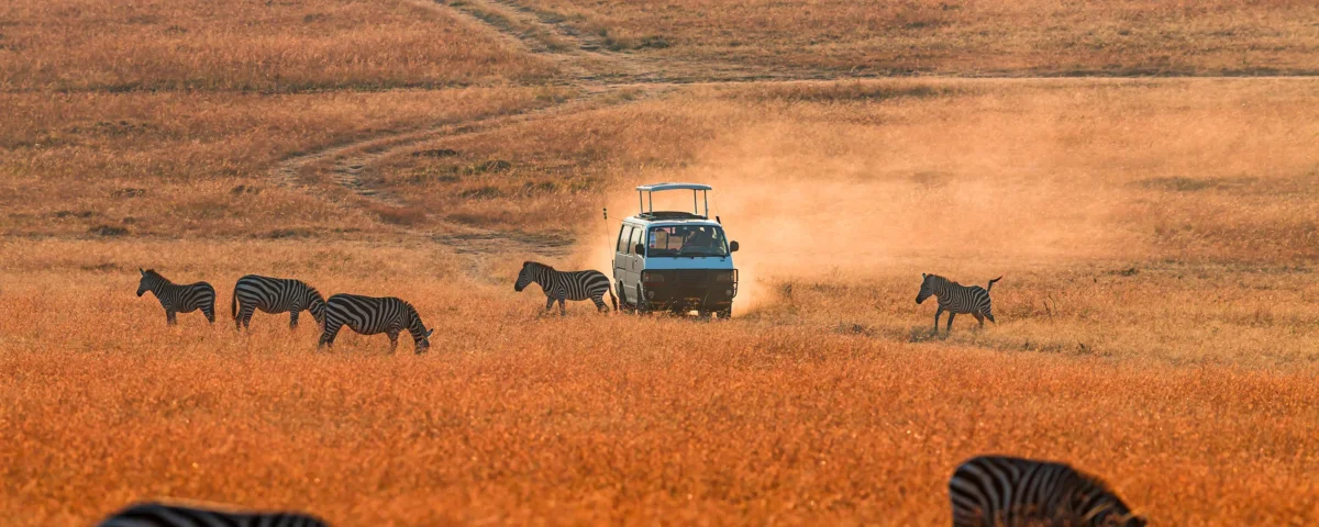 Which Safari Experiences in Kenya Are Best In Dry Season?