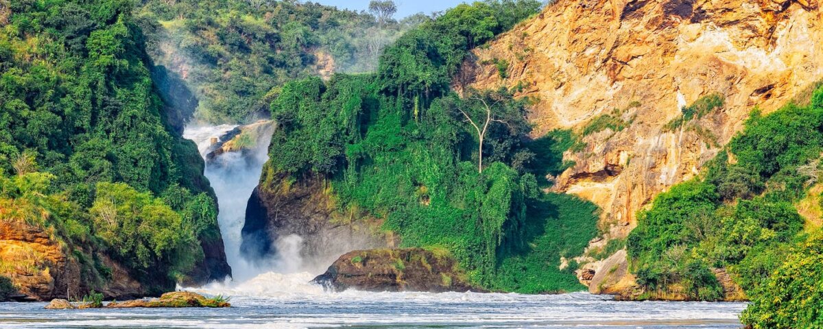Which Uganda safari parks are most popular